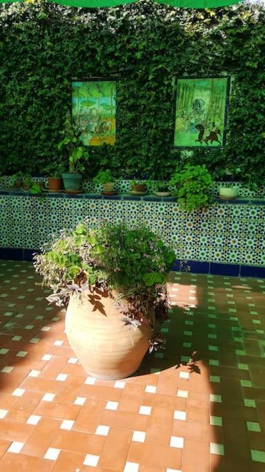 Apartment Sevilla A Tus Pies *
