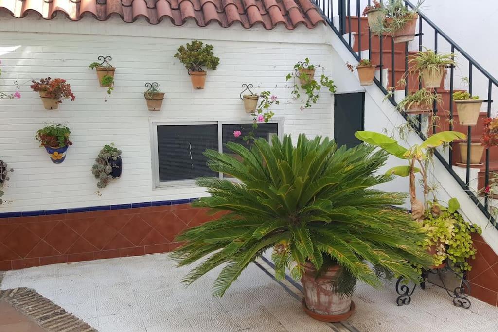 Apartment Sevilla A Tus Pies Mairena del Aljarafe